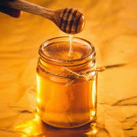 DIB - Honigzertifizierungkurs